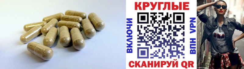 закладка kraken сайт Ecstasy mix Гороховец