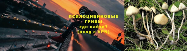 mdma Бородино