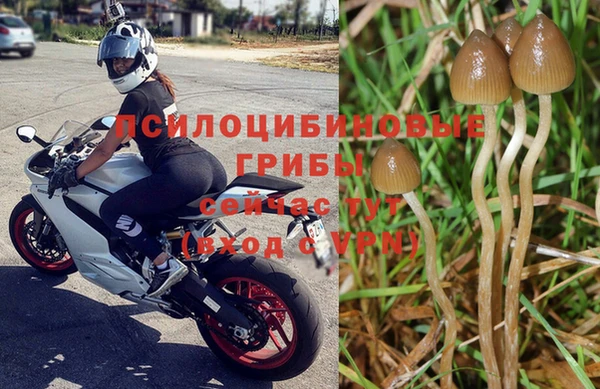 прущие крисы Бронницы