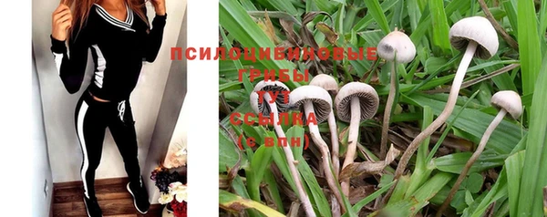 прущие крисы Бронницы