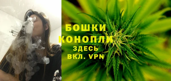 mdma Бородино