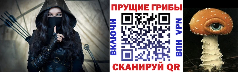 Псилоцибиновые грибы Magic Shrooms  кракен маркетплейс  Гороховец  сколько стоит 